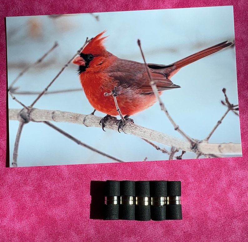 May include: A bright red cardinal perched on a bare branch against a snowy background. The bird has a black head and a long, pointed beak.