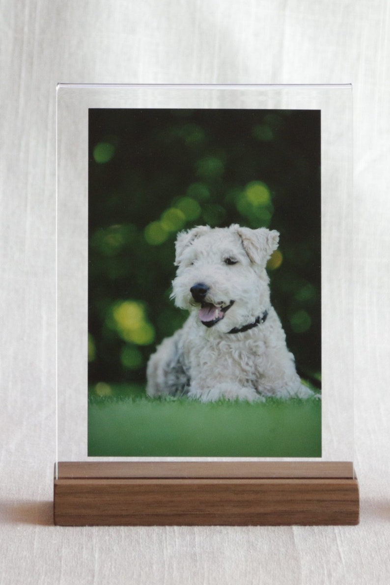 Floating Picture Frame Holds Any 5x7 or Smaller Photo. Heavy Etsy