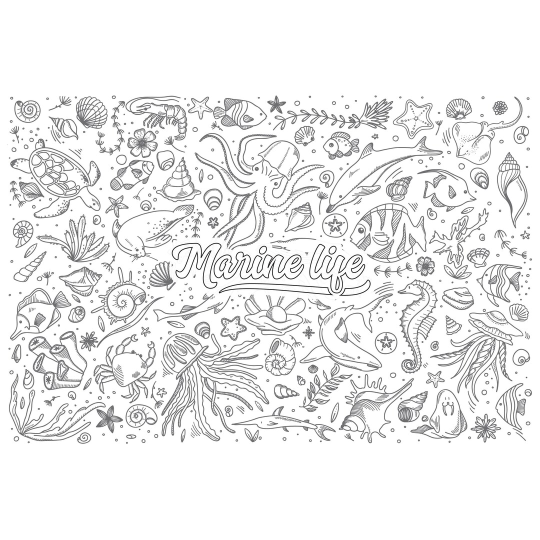 Big Coloring Sheet for Kids, Huge Coloring Sheets, 30 X 44 Coloring