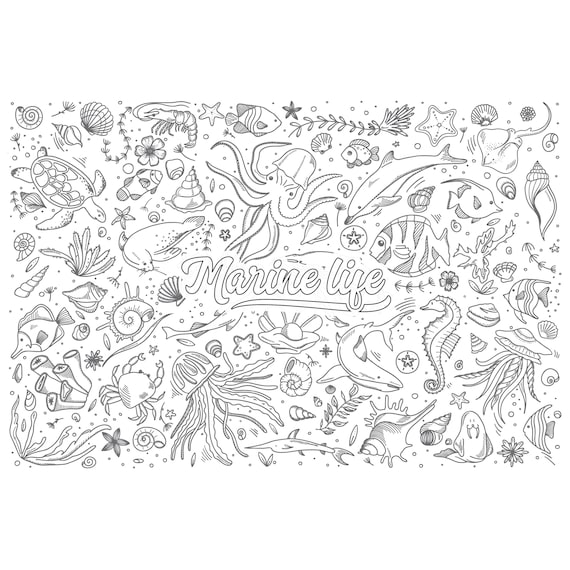 Big Coloring Sheet For Kids, Huge Coloring Sheets, 30 x 44 Coloring  Sheet, Sea Life Coloring, Homeschool Drawing