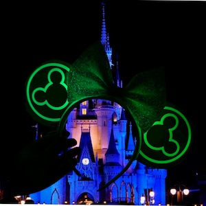 Magic Band Reader Inspired Ears