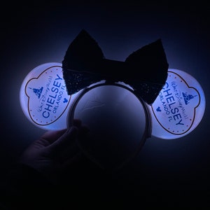 Cast Member Inspired Ears 3d Printed Mouse Ears Headband