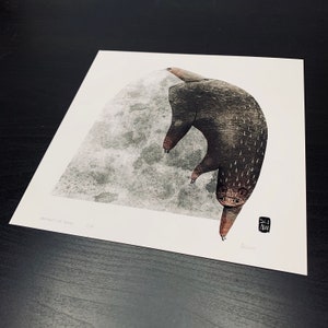 Serpentine Bear