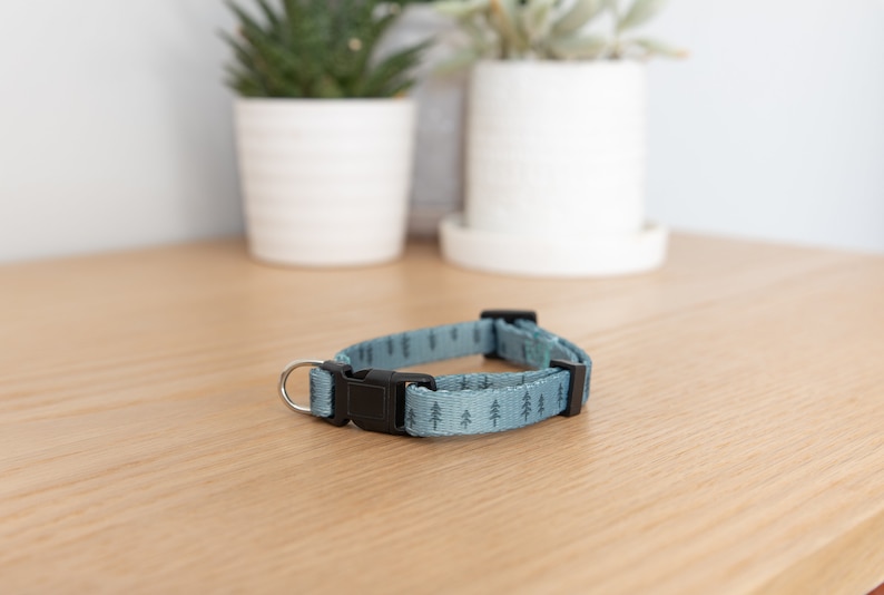 Breakaway Pine Tree Sage Green Cat & Kitten Collar Cat Face Etsy