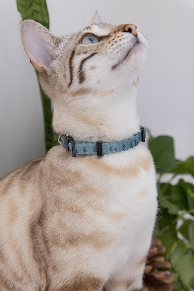 Breakaway Pine Tree Sage Green Cat & Kitten Collar Cat Face Etsy