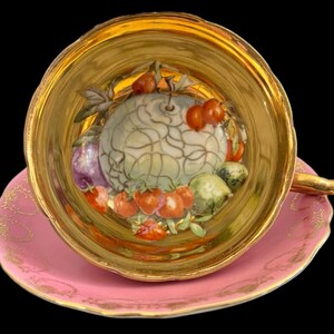 Tea Cup & Saucer Pink Gold Gilt Fruit Pattern Royal Sealy Brand