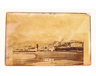 Antieke glazen souvenirfoto Penig Duitsland Saksen 19e eeuw Dame op de berg