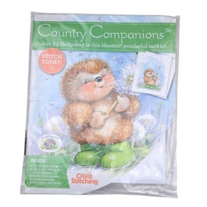 Kit de cartão de ponto cruz Country Companions Ed Hedgehog Animal Novo Lacrado