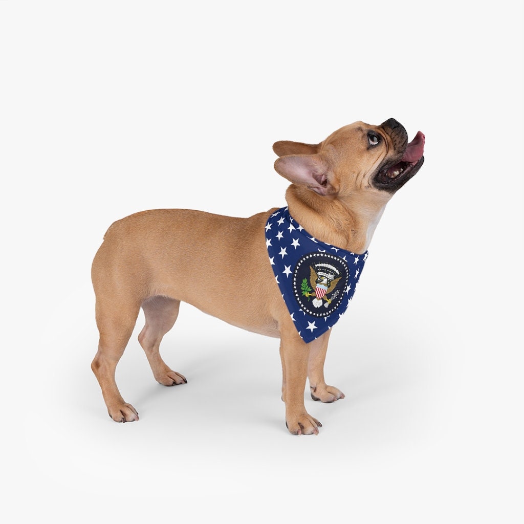 Eagles shirts for dogs hot sale