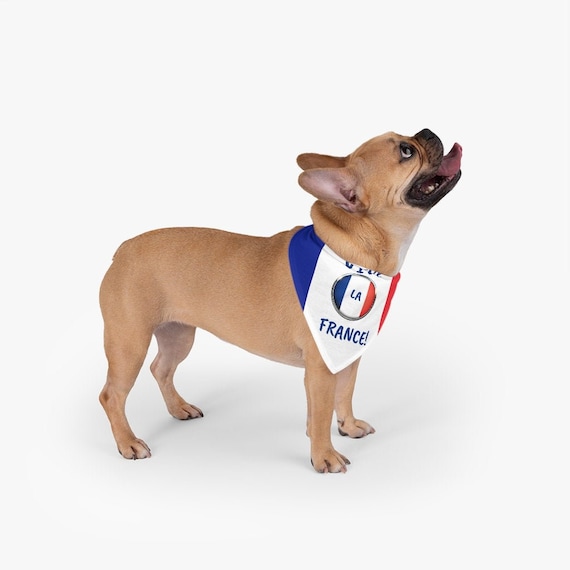 Dog flag bandana 2025