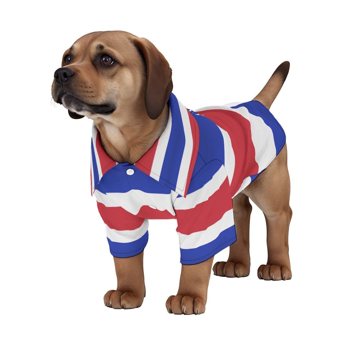Costa Rica Dog Shirt, Pets, Cats, Costa Rican, Gifts, Outfit, Costa Rica  Flag, Costa Rican Flag, Costume. - Etsy, image size:1200x1200