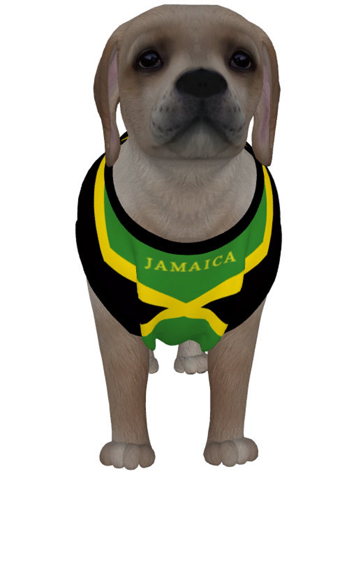 Jamaica Flags Dog's Tshirt Jamaican Jumper Puppy Etsy