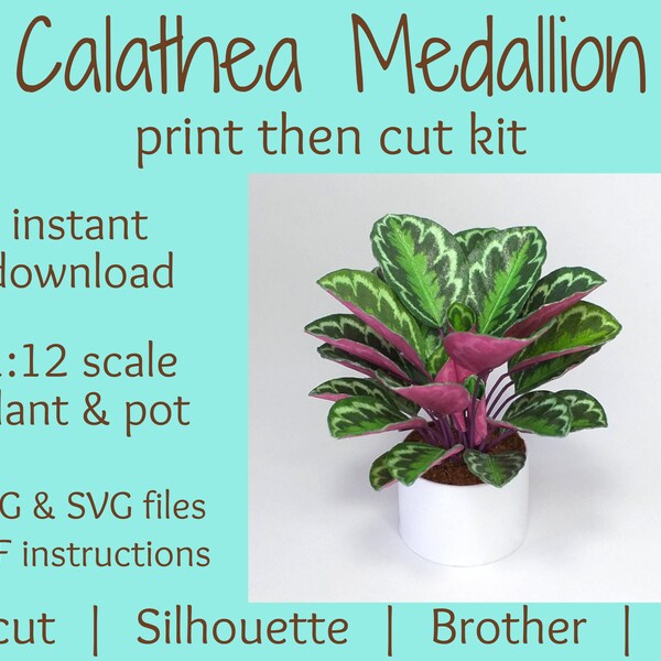 calathea medallion, printable miniature, dolls house plant | 1 12 scale accessory | modern dolls house | printable plants | digital kit