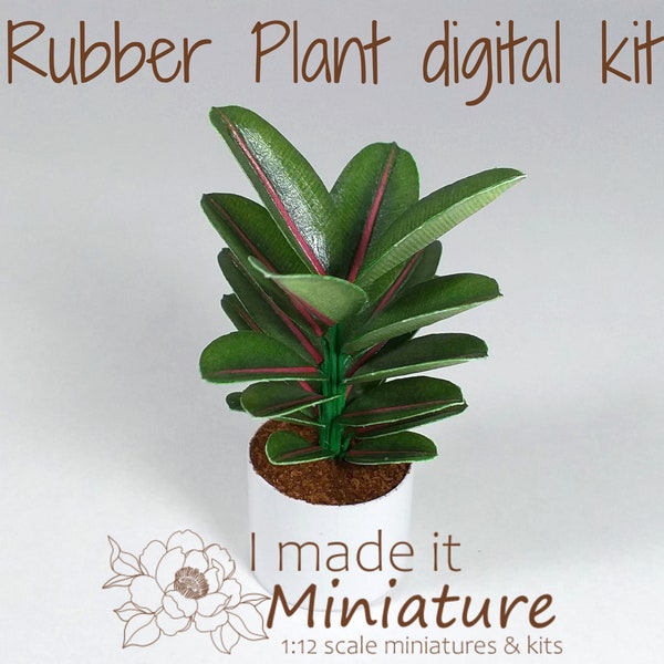 Plant Kit Etsy UK