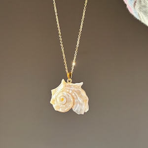 Könnte beinhalten: Eine goldfarbene Halskette mit einem Muschel-Anhänger. Der Anhänger hat eine hellbeige Farbe mit einem Spiralmuster. Die Halskette hängt vor einem dunkelgrauen Hintergrund.