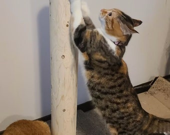 28" Cedar Cat Scratch Post with Carpeted Base - Handmade