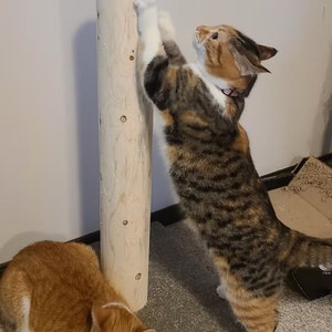 28" tall cedar scratch post for cats with 16" square carpeted base/cedar post/kitten/wooden cat scratcher/cat scratch/cat furniture