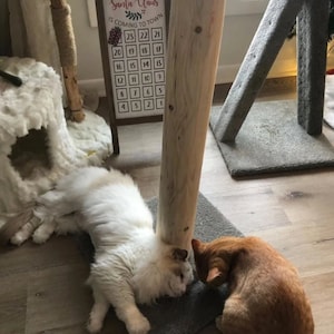 以下が含まれることがあります： 白い猫とオレンジ色の猫の2匹が、木の猫用爪とぎの横に、灰色のカーペットの上に横たわっています。白い猫は横向きに寝ていて、頭は柱に寄りかかっています。オレンジ色の猫は腹ばいになって寝ていて、頭はカーペットに寄りかかっています。背景には、クリスマスのカウントダウンが書かれた木製の看板が見えます。