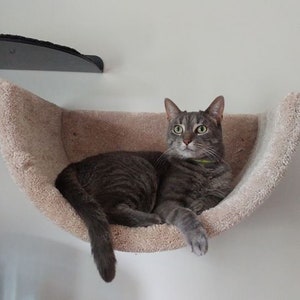 Wall Mounted Cat Bed: Handmade Carpeted Cat Shelf