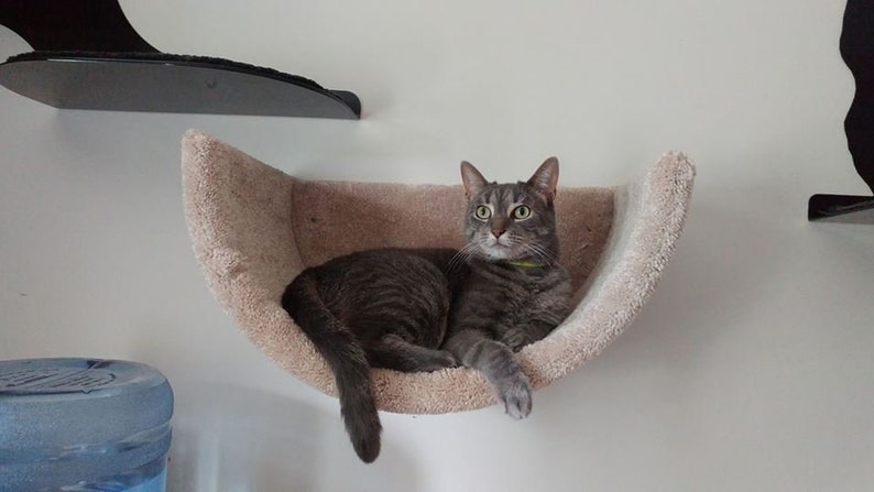 Wall Mounted Cat Bed cat Bed cat Shelf pet Bed kitten Bed cat Etsy cat-hexagon-house-modern-cat-bed-wall-mounted-cat-bed-cat-wall-shelf