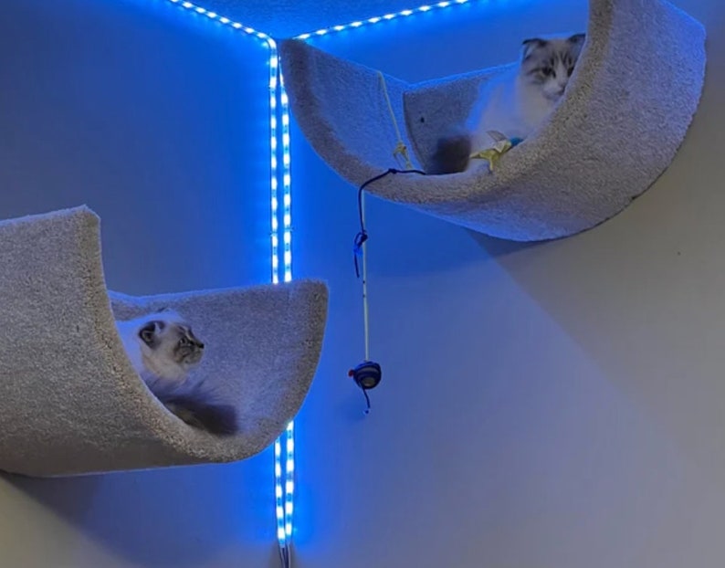 Wall Mounted Cat Bed/cat Bed/cat Shelf/pet Bed/kitten Bed/cat Etsy