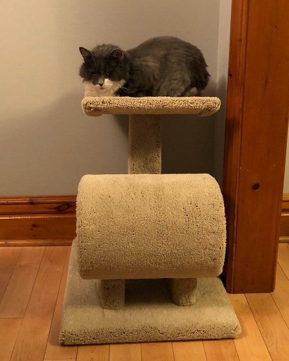 tall cat post
