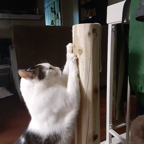 cedar cat scratching post