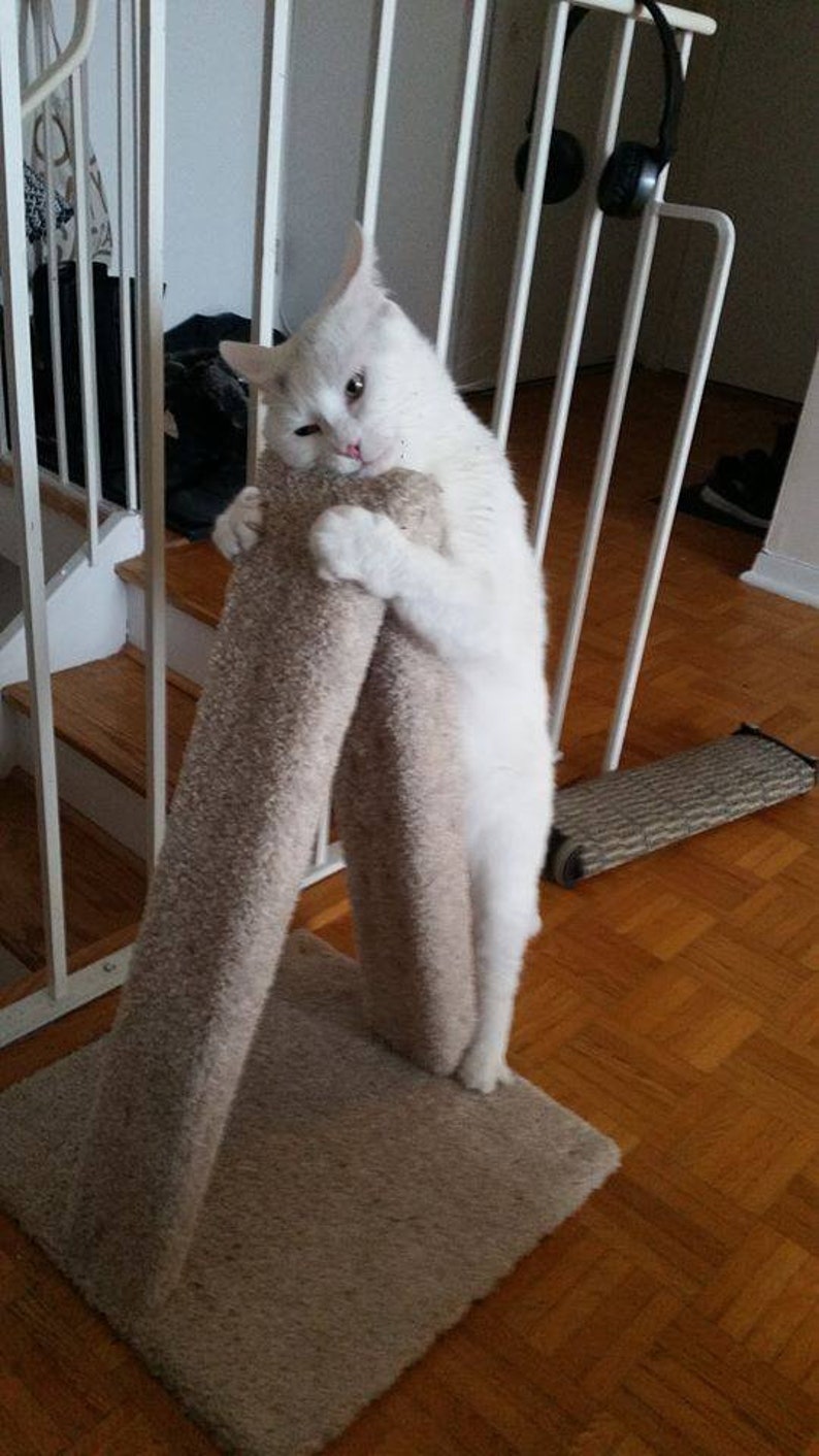 A-frame cat scratch post/scratching post/cat image 1