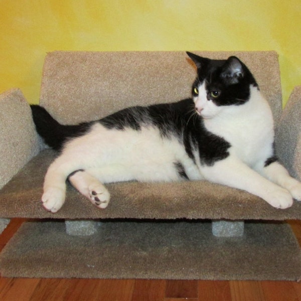 Couch-style bed for cats and small dogs/cat bed/cat couch/cat throne/cat perch/kitten/cat furniture