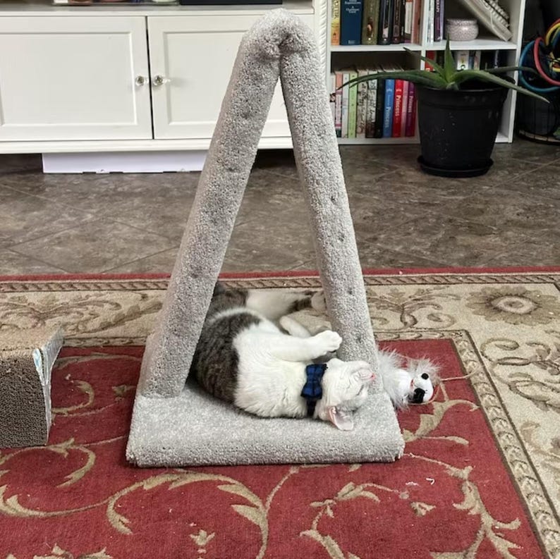 May include: A gray cat tree with a cat sleeping inside. The cat is white and gray with a blue bow tie. The cat tree has a triangular shape and is made of soft, textured fabric.