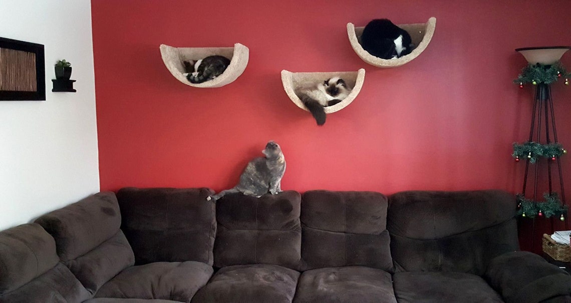 Wall Mounted Cat Bed/cat Bed/cat Shelf/pet Bed/kitten Bed/cat Etsy