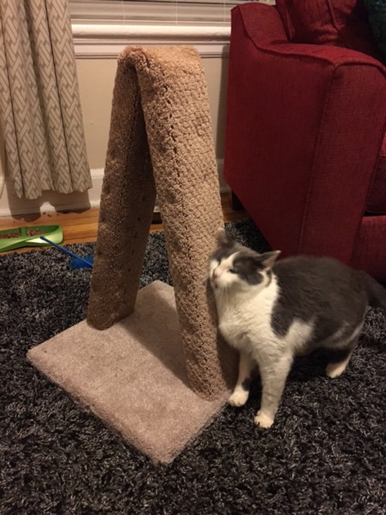 May include: A gray and white cat rubs its face on a beige cat scratching post. The post is made of a soft, textured material and has a square base. The cat is standing on a gray shag carpet.