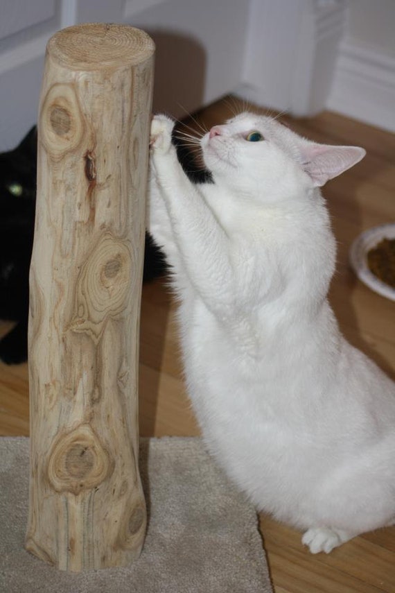 etsy cat scratching post