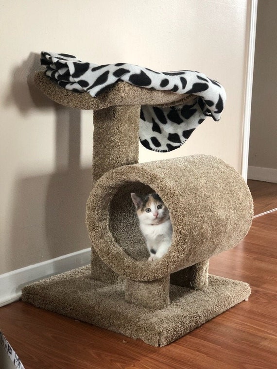 tall cat bed