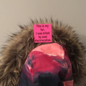 Vegan fur activist sticker pack fuck fur sticker say no to fur sticker no leather no fur please sticker do not wear fur coat anti fur stick