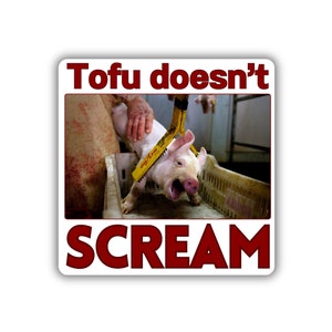 Vegan activist stickers pack Tofu doesn't scream pig agonizing screaming animal feel pain piggy cute sticker for the animal liberation fta