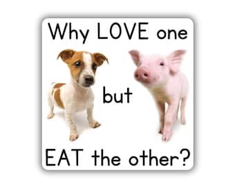 Vegan activist stickers pack why love one eat the other pig sticker dog sticker for animal activism animal lover animal liberation fta