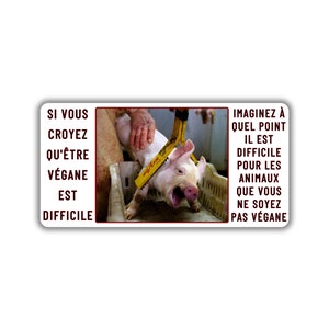 Vegane activist sticker pack paquet collant activisme cochon bacon animal lover difficile d'être végane j'aime les animaux protéger animaux