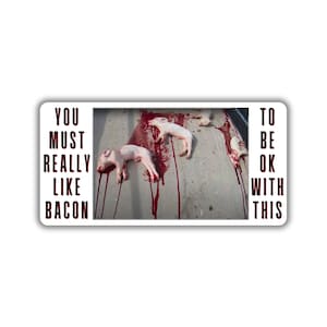 Vegan activist stickers pack meat industry pig are not food bacon is animal cruelty stop eating animal liberation for the animal right pork