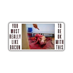 Vegan activist stickers pack activism for animal pig bacon you must really like bacon to be ok with this stand up for animal vegan power fta