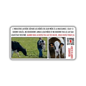 Vegane activist sticker pack paquet collant activisme lait de vache veaux cruauté animale regardez dairy is scary youtube scanner code qr