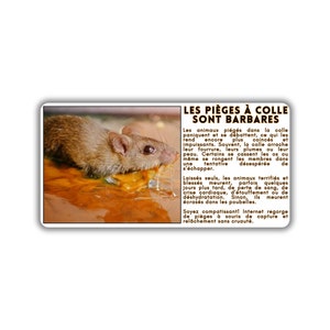 Vegane activist sticker pack paquet collant activisme piège à colle glue trap trappe à souris rat piège inhumain souffrance agonie douleur