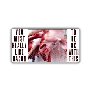 Vegan activist stickers pack animal activism bloody pig slaughterhouse you must really like bacon meat industry defend pig save the animal