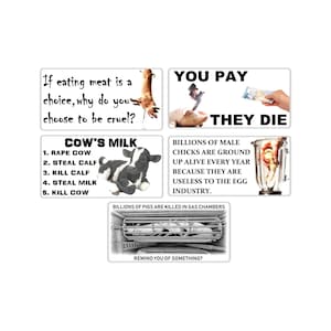 Vegan activist stickers mix pack (meat cruel choice, you pay they die, cow's milk baby calf, male chick ground up alive, pigs gas chambers)