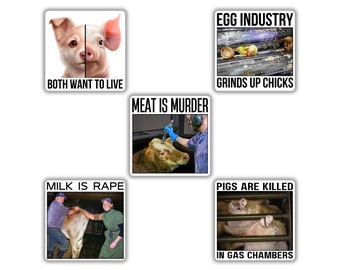 Vegan activist stickers mix pack (dog pig both want to live, egg industry grinds up chick, meat is murder, milk is rap, pigs gas chambers)
