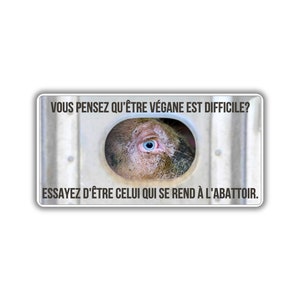 Vegane activist sticker pack paquet collant activiste libération animale droit animaux abattage cochon transport abattoir végane difficile