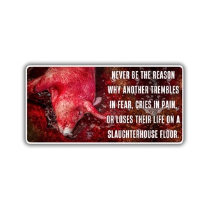 Vegan activist stickers pack pig in blood on slaughterhouse floor never be the reason cries in pain trembles in fear loses their life piggy