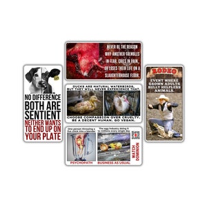 Vegan activist stickers mix pack (no difference cow dog sentience, pain fear slaughterhouse, duck compassion cruelty, egg industry, rodeo)