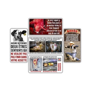 Végane activiste autocollants paquet pack sticker activist (chien vache sentience, sang peur abattoir, canard en cage, oeufs poussin, rodéo)