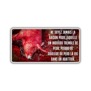 Vegane activist sticker pack paquet collant activiste libération animale droit animaux abattoir sang cochon soufrance peur terreur agonise
